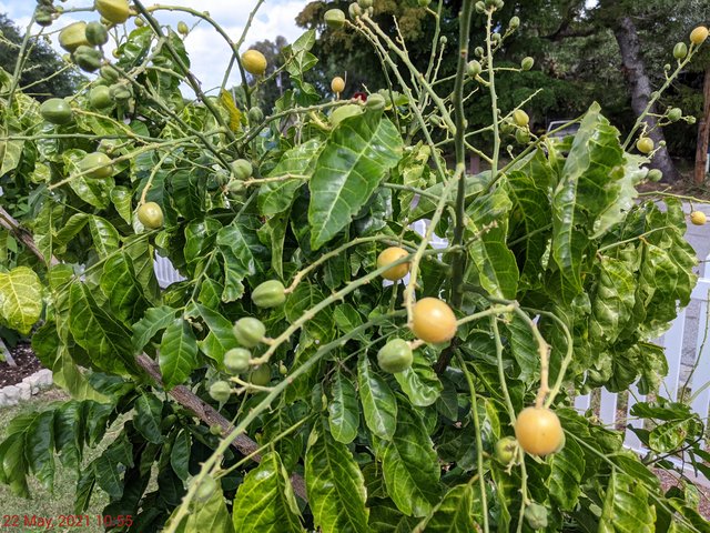 [Image: PXL-20210522-145540931.jpg]