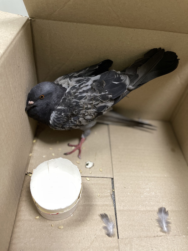 2BD100D6-1604-481C-81D7-EC70968DDEA1