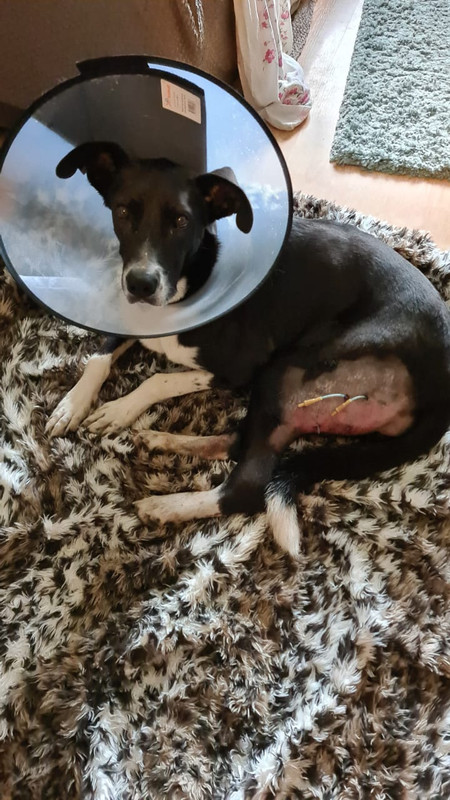 06C31695-FE15-40BE-A11D-6D8052247740