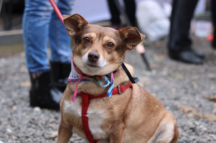 97663749-BC0A-419D-8CDA-14E45E402D7A