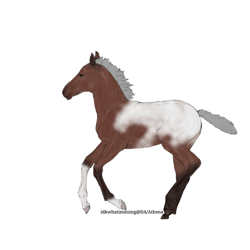 Untitled88-20250331151632.png