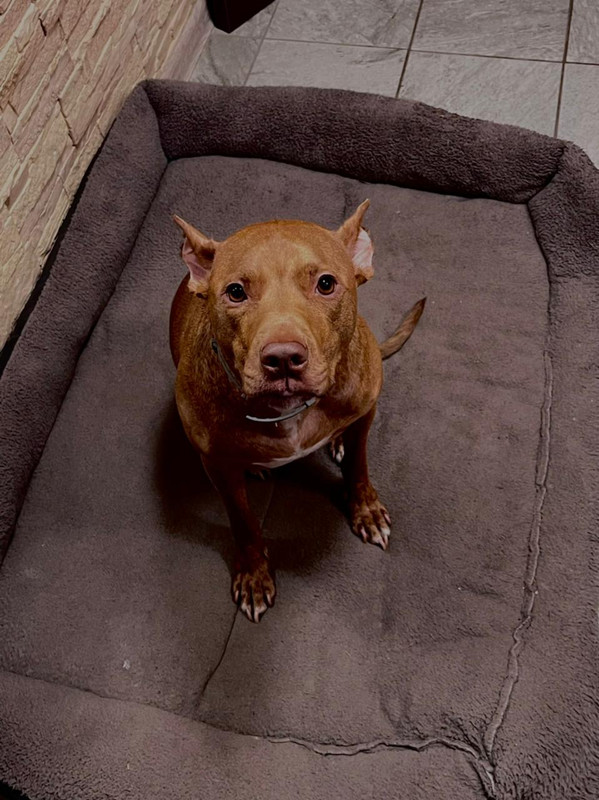 6FA72F1A-B1D8-4F3D-A17E-1530AAFF0239