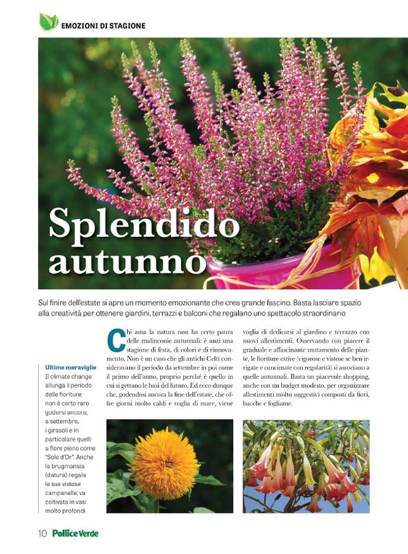 Pol Ver Set 2023 (1)