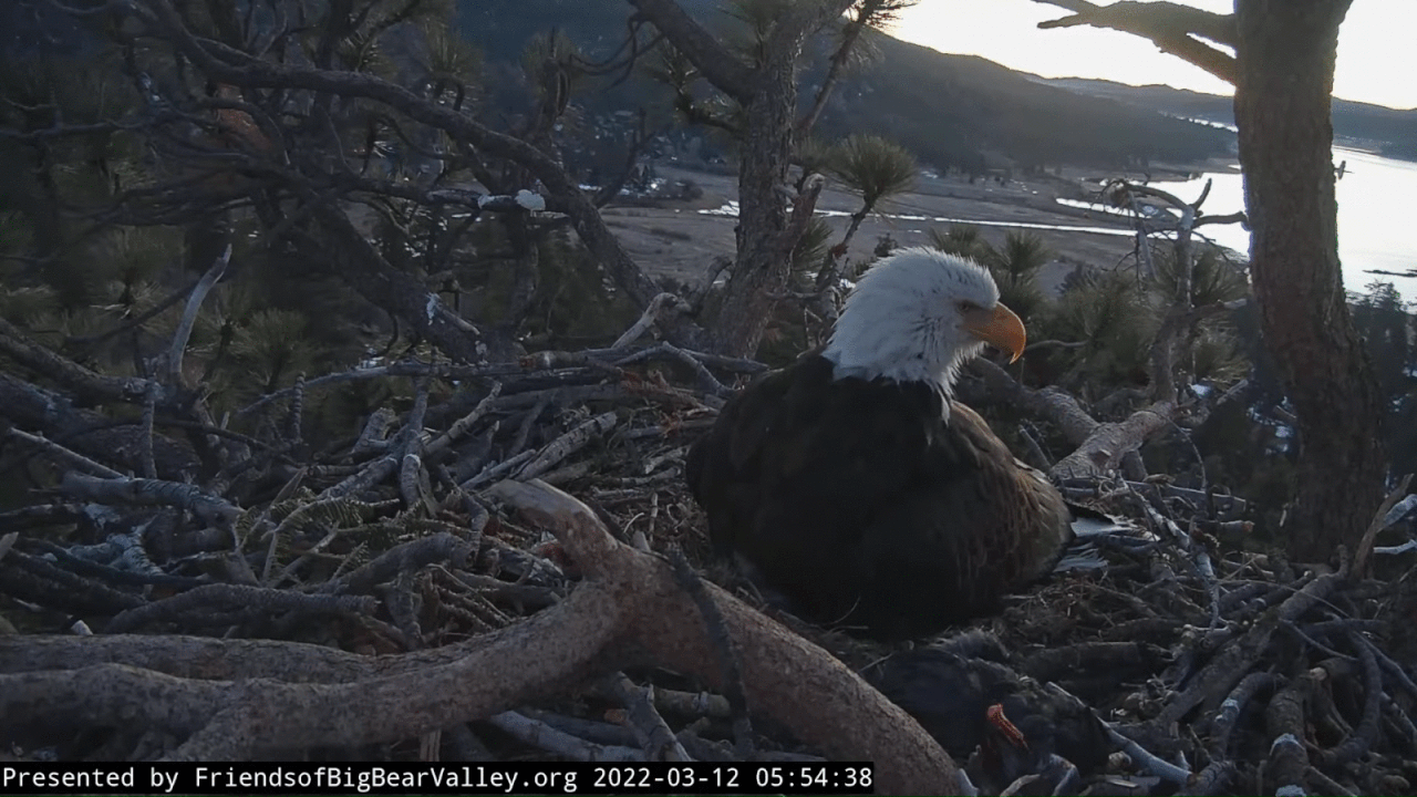 Webp.net-gifmaker (1)