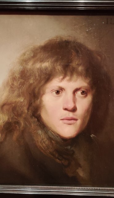 Escapada por Amsterdam - La Haya - Delft - Rotterdam - Leiden - Londres - Blogs de Europa - Museo Mauritshuis, decepcionante Depot Boijmans y callejeo por Delft y Leiden (177)
