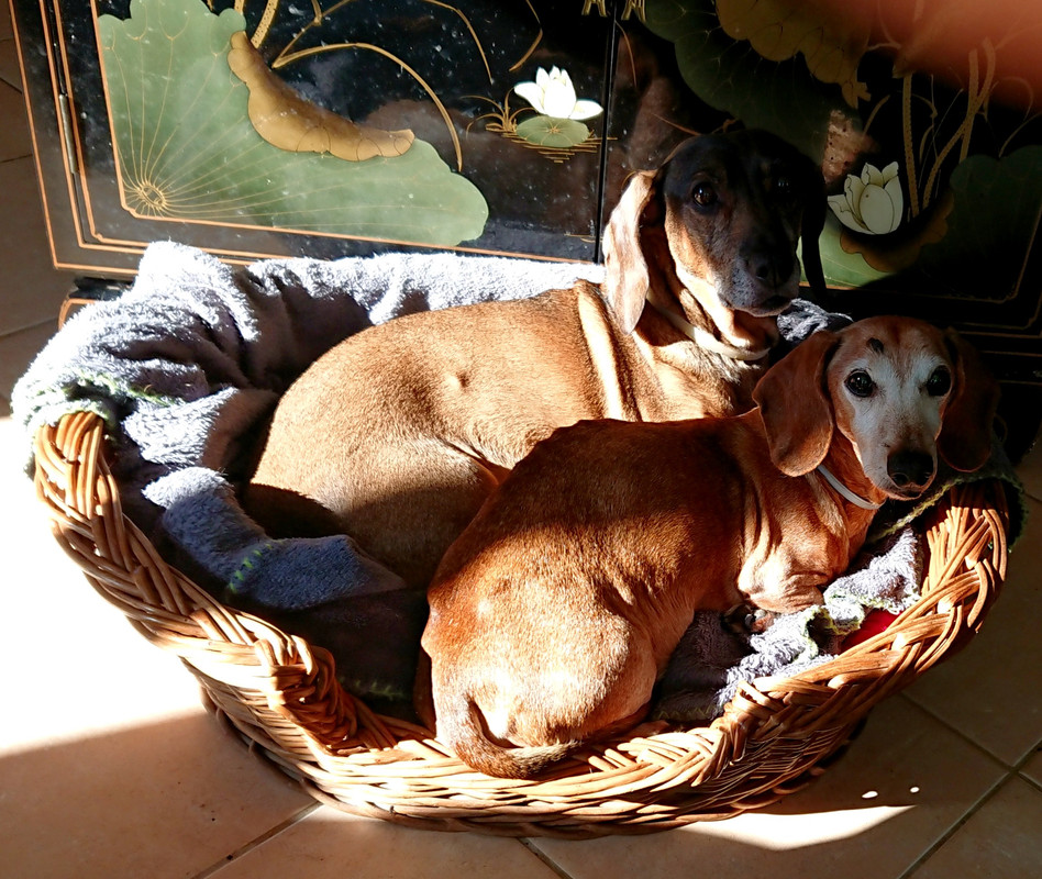 [Image: 20241026-230238.jpg]