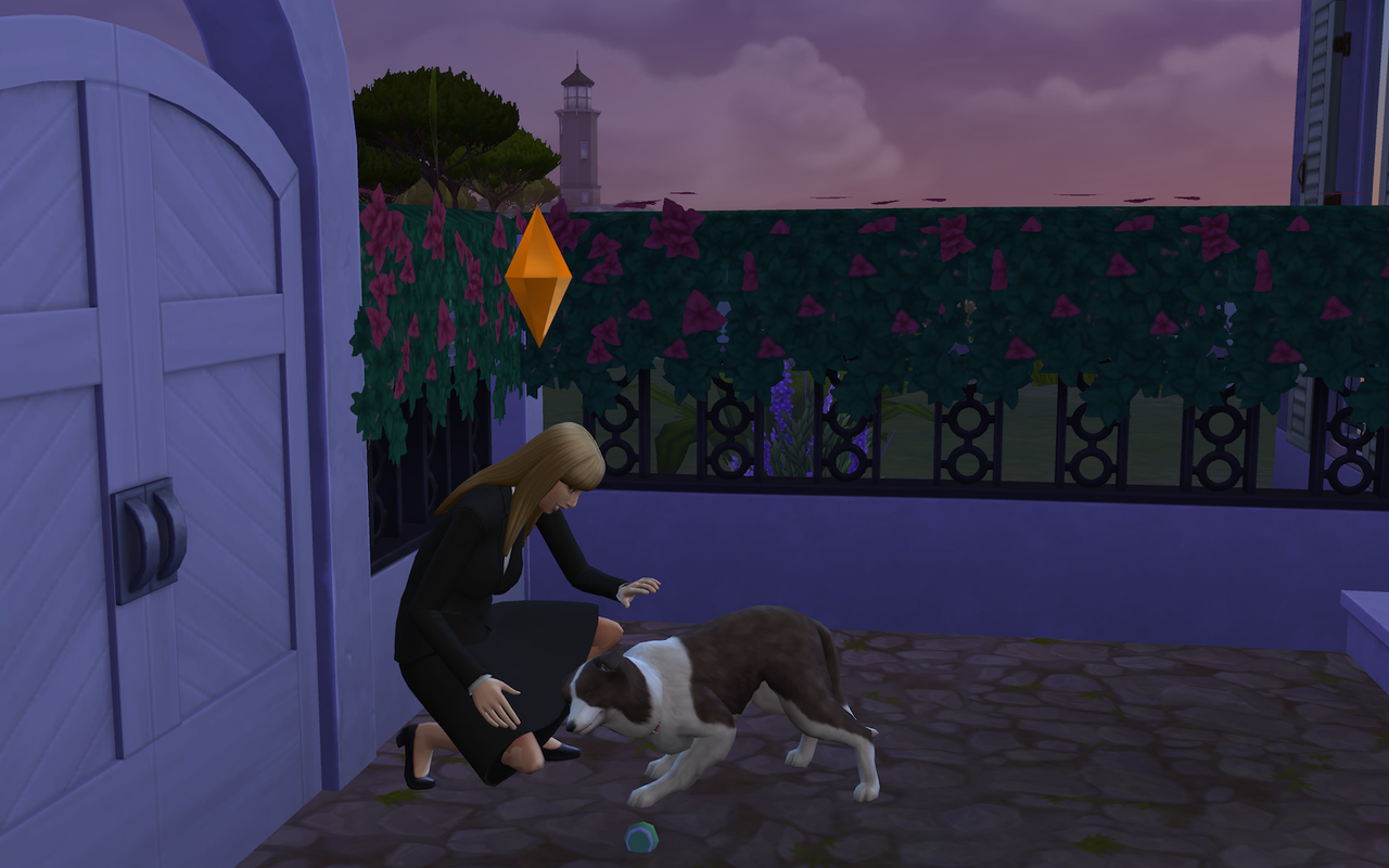 12-14-23_11:22:43 AM