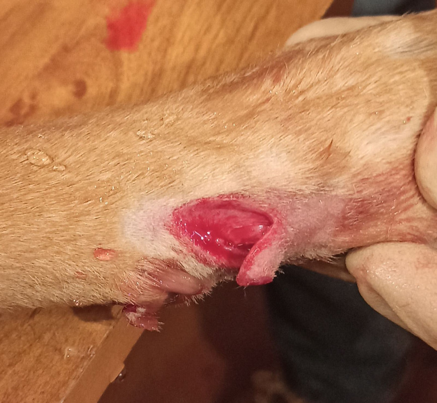 изображение_viber_2020-02-02_18-08-34