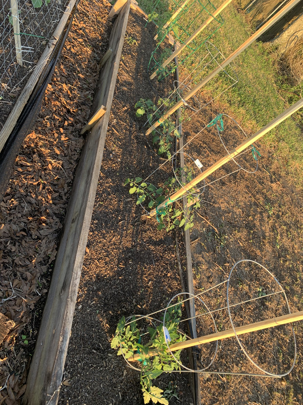 215A5069-0A10-480A-8AD3-23BF47361BB1