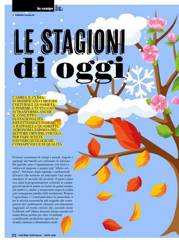 Cucina Nat Set 2021 (3)