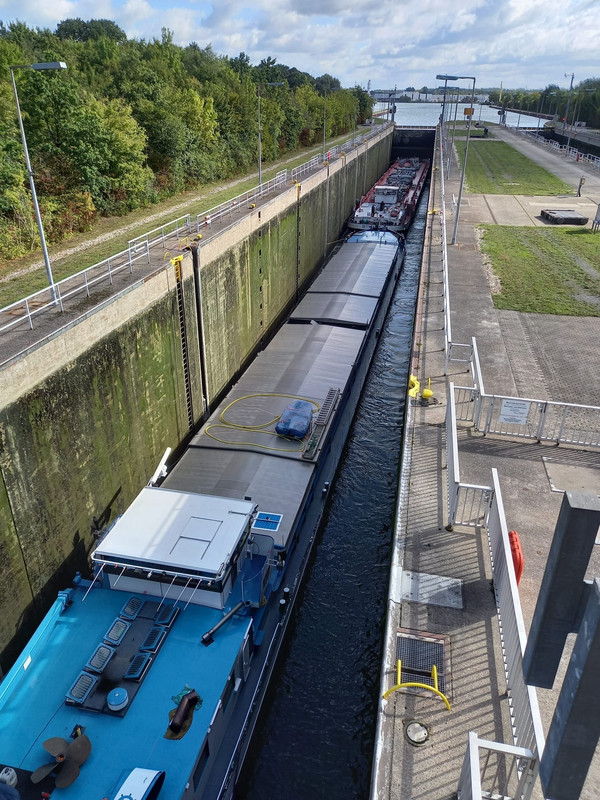 2022.09.17b Fiducia (1455x1940)