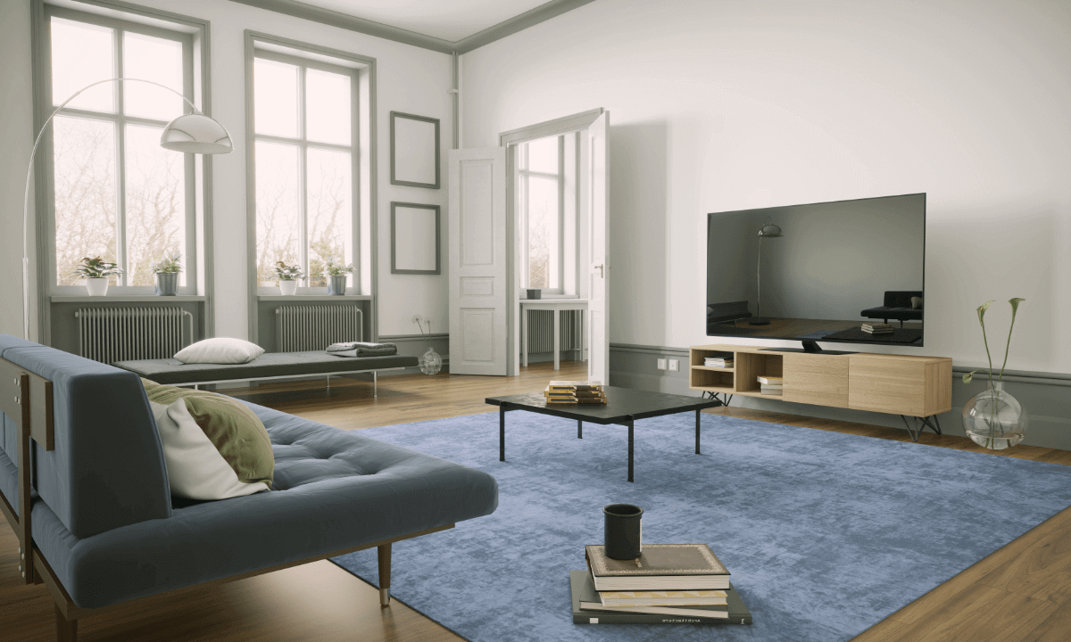 open living room with blue rug and couch