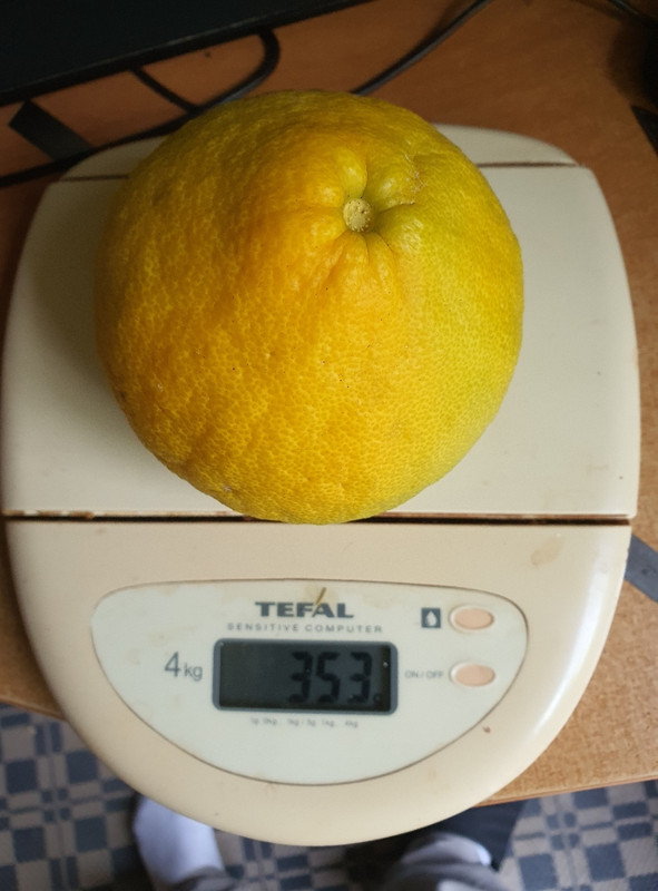 20221122_145106