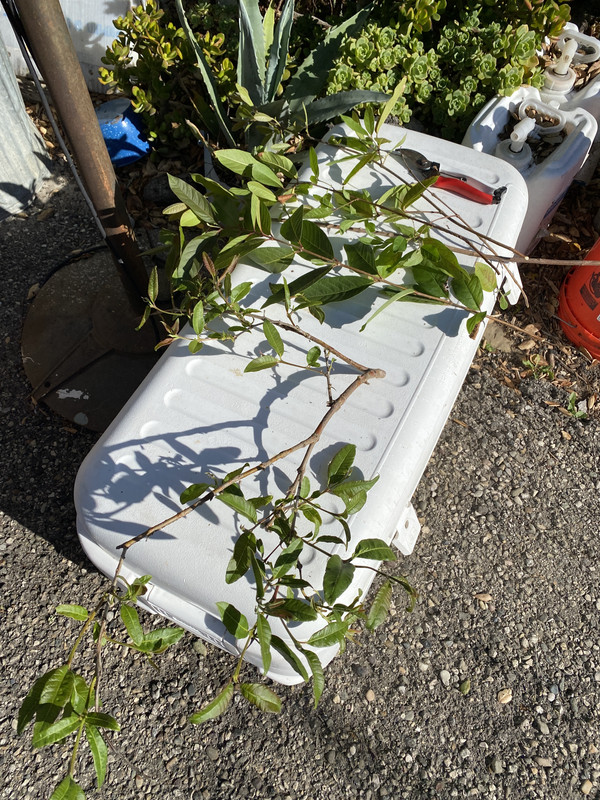 79928919-FED9-4C8E-8727-89E4EDC83435