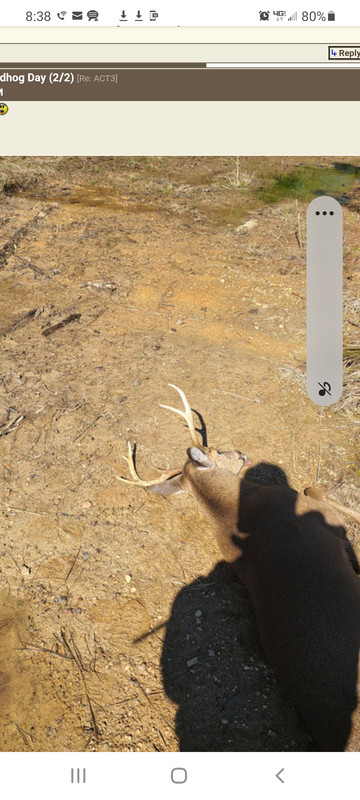 Screenshot_20220117-083838_DuckDuckGo