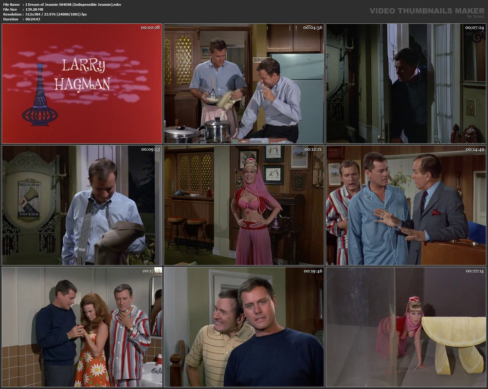 I Dream of Jeannie S04E08 (Indispensible Jeannie).mkv