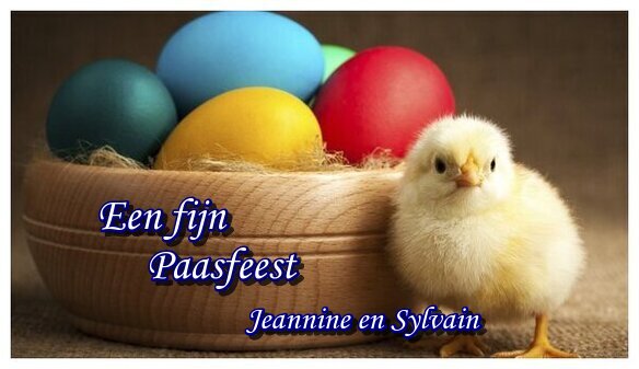 FIJN-PAASFEEST