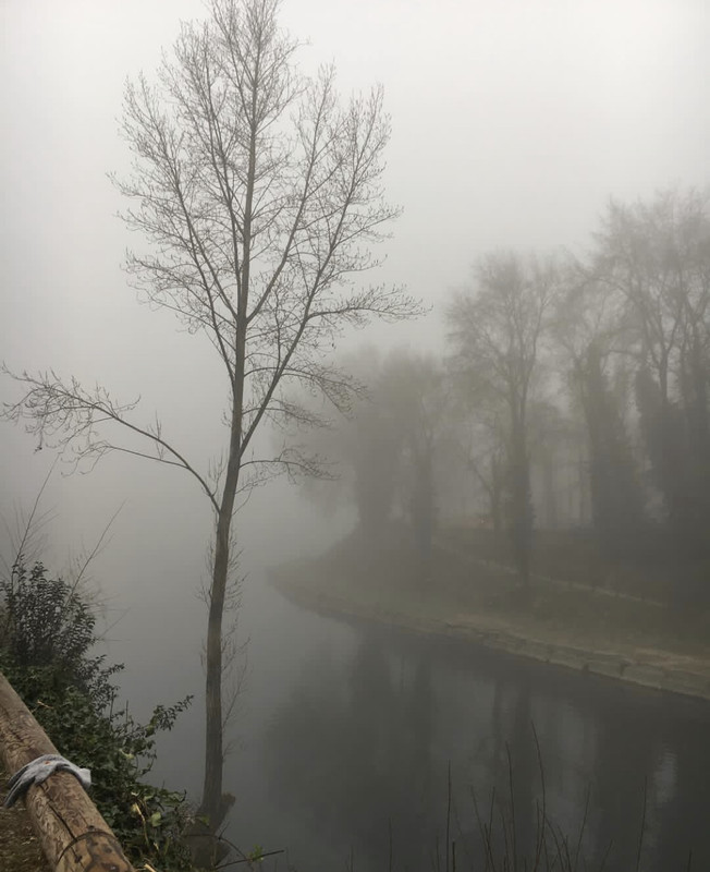 F718AE86-02AF-4E1B-BE9D-FB817358CAD9