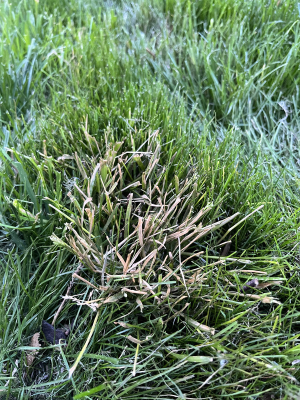 0EB692C1-1C0C-4757-A90F-68E1A1FE5E29