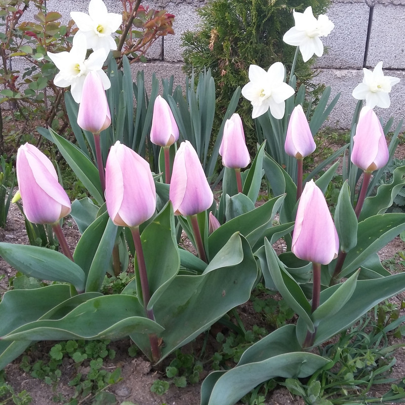 20190323_181358