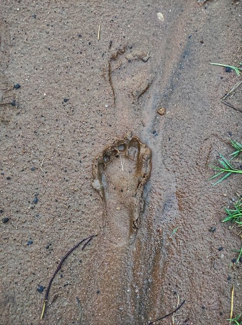 Murchison Falls - Kabong Town - 18 días por las tierras más remotas de Uganda y Kenya (4)