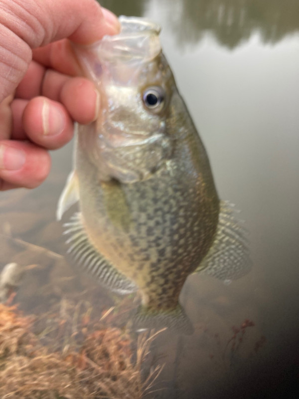 63111971838__AE63D6D9-0FF3-4859-88A4-0BDE556F16FD