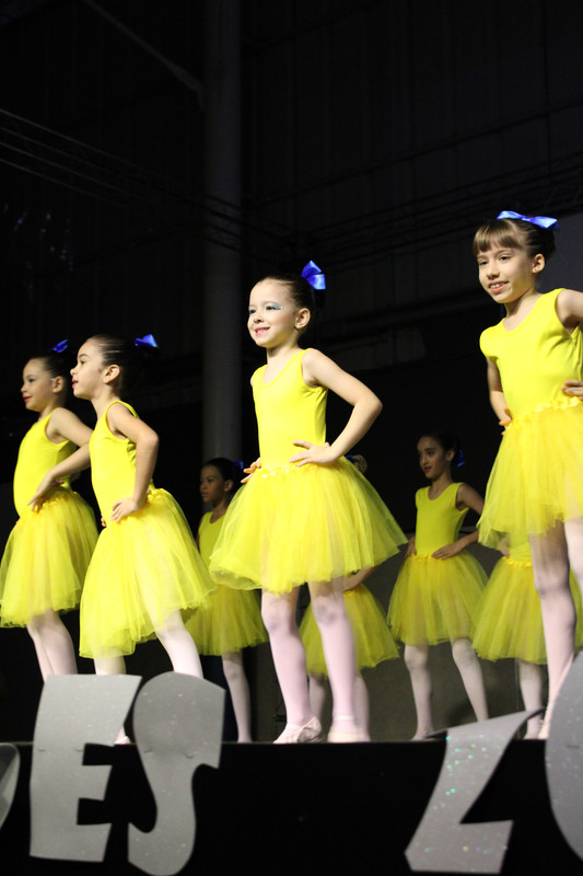 Apresentação de dança (Ballet) (137)