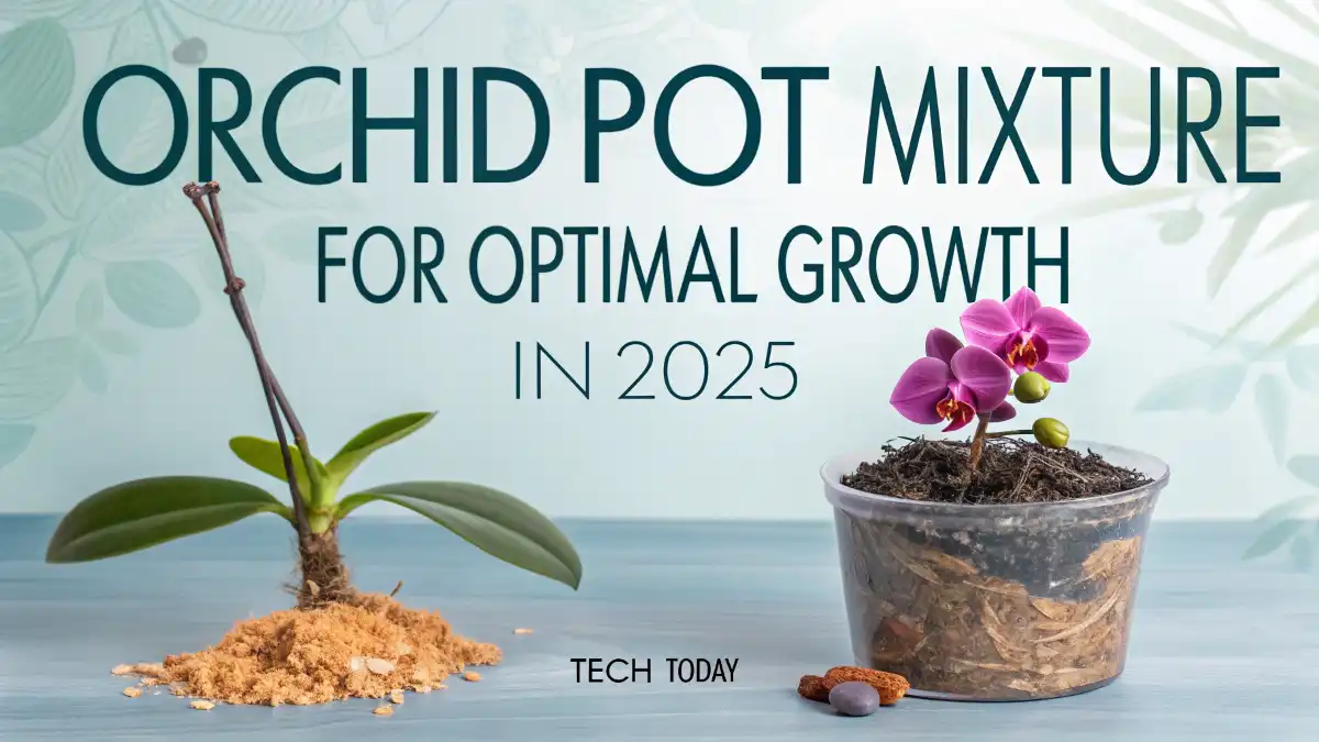 Best Orchid Pot Mixture for Optimal Growth in 2025