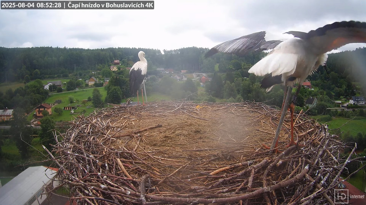 Tiešraide no KARA uzņēmuma stārķu skursteņa Bohuslavicē netālu no Trutnovas 12-25-26 screenshot (1)