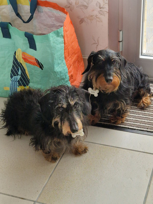 [Image: IMG-20240810-094722.jpg]