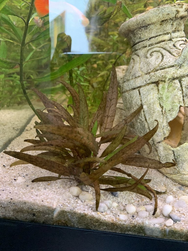 5A324764-BC48-47AB-A8B6-0E46D2635D4D