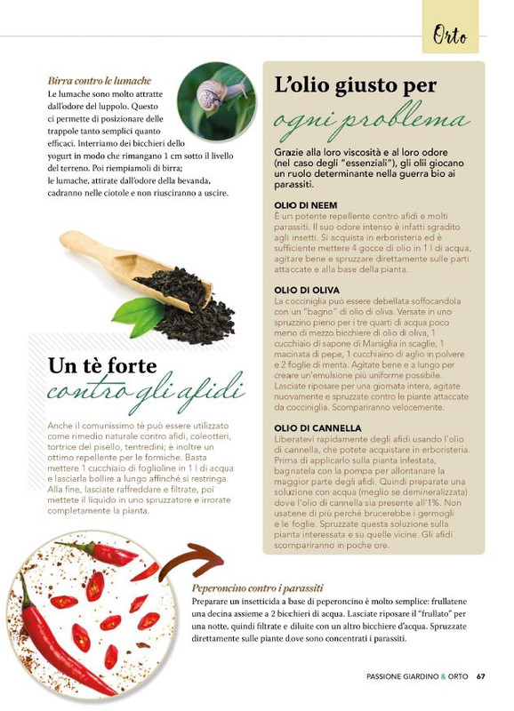 Pass Giar e Orto Apr-Mag 2025 (6)