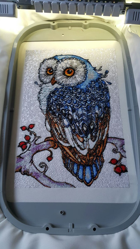 ^2B3883B258B7BE5BC9396CBB7B0B4DA8BF2D55F20165A3C