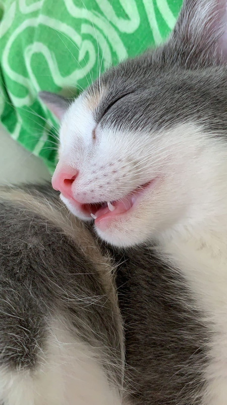 F7219634-652A-4966-916A-85E7C129AE40