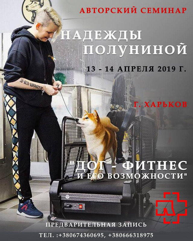 Надя - семинар