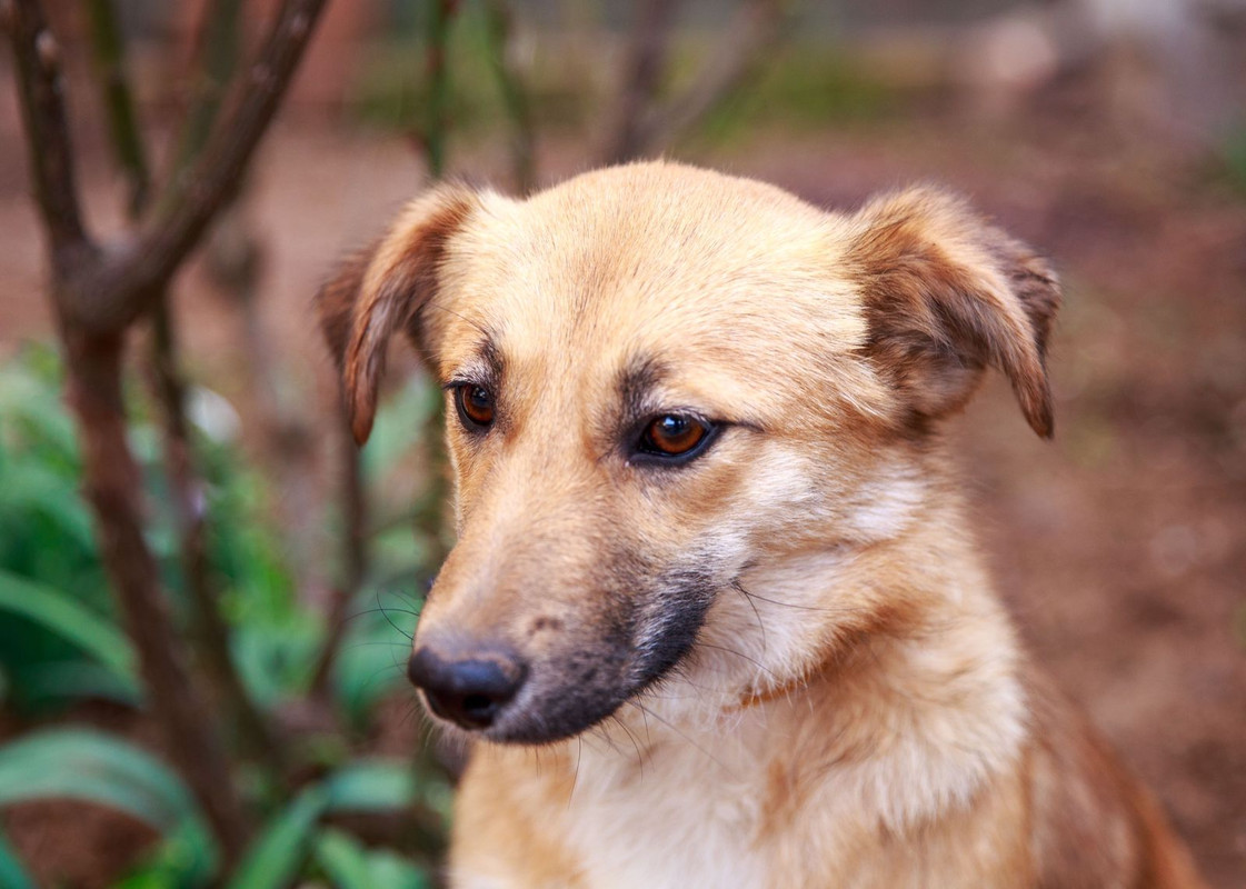 изображение_viber_2024-05-12_20-39-12-427