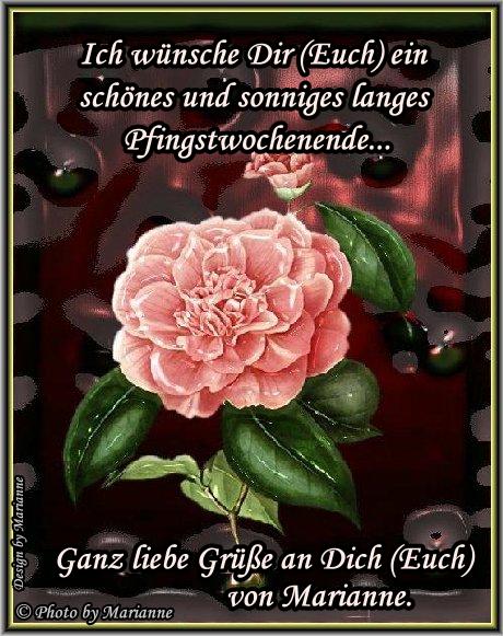An den Beitrag angehängtes Bild: https://i.postimg.cc/RCKGjd2r/252-Pfingswochenende.jpg