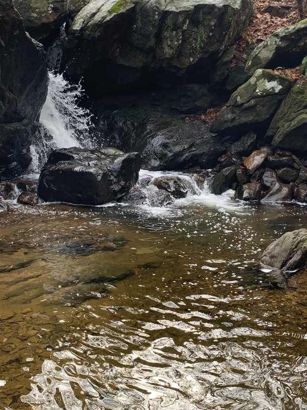 4BB6B65A-E502-41DE-B5A1-43F0FE7B24B7