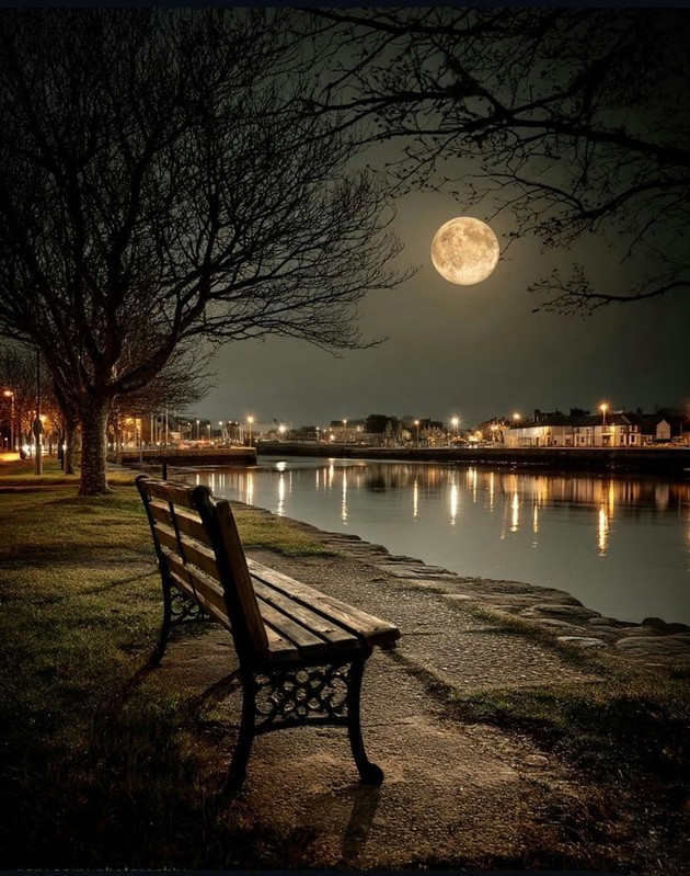 343d1b93d201dae1b46645f64dfde7c8