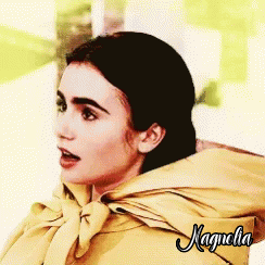 Immagine di Magnolia