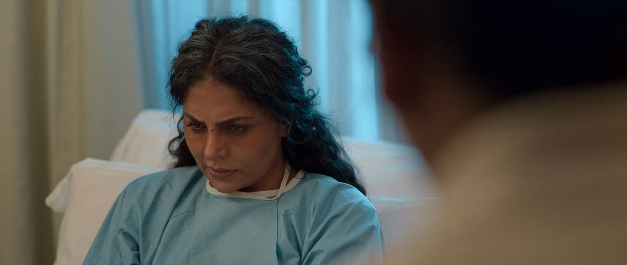 My Lord 2026 WebRip [Hindi + Tamil + Telugu] 480p 720p ESub Screenshot