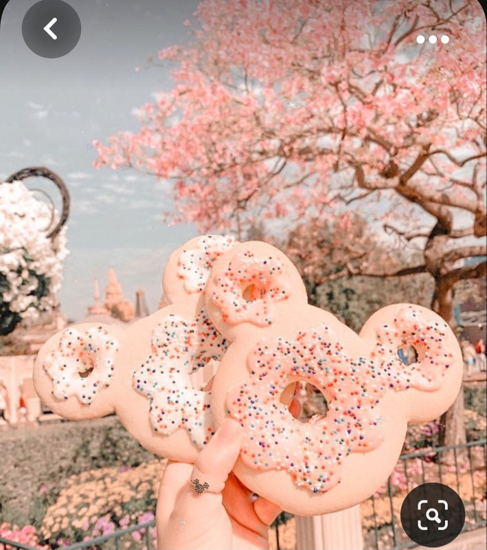 Screenshot_20231004_231857_Pinterest