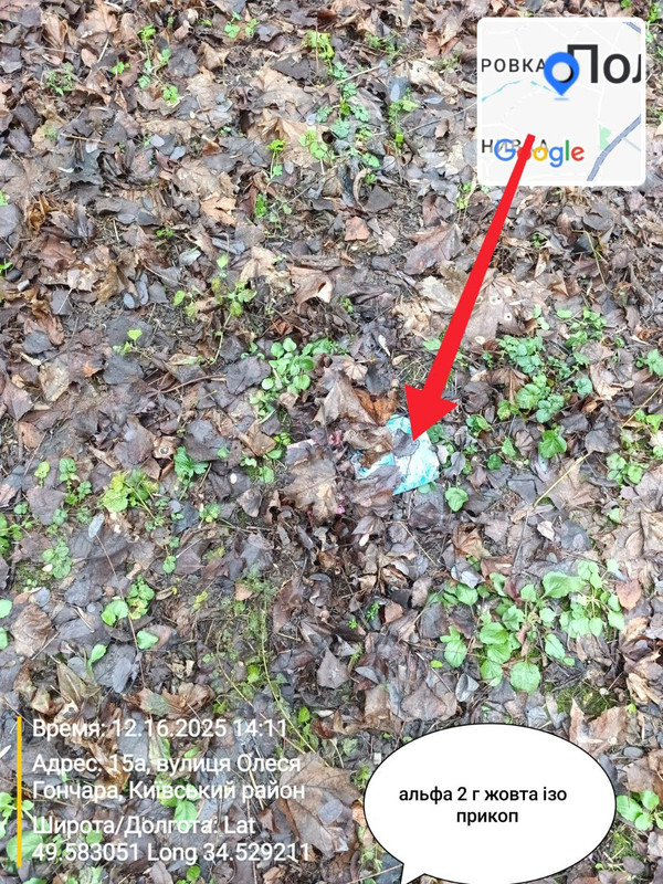 IMG 20251216 213509 096