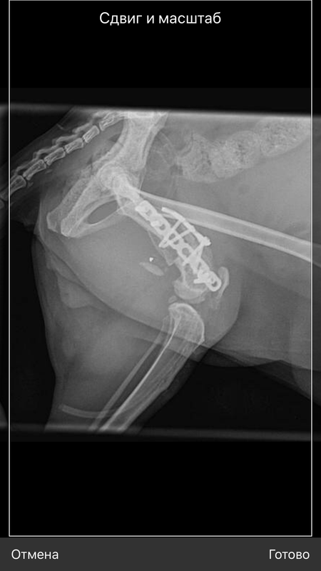 DE87417C-3F20-4056-B695-93689B75D9A3