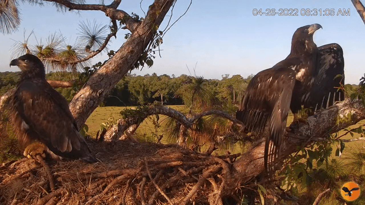 Webp.net-gifmaker (2)