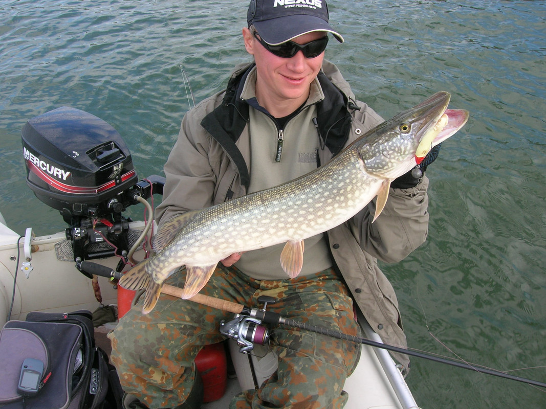 Обзор спина