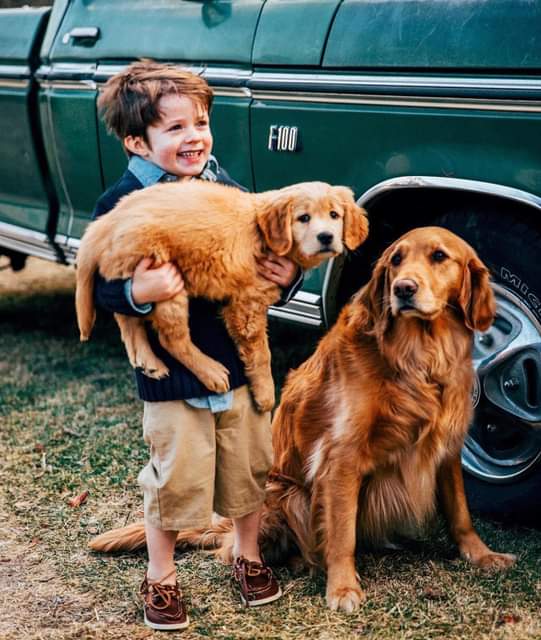 ���� ���� ������ �� ���� ������