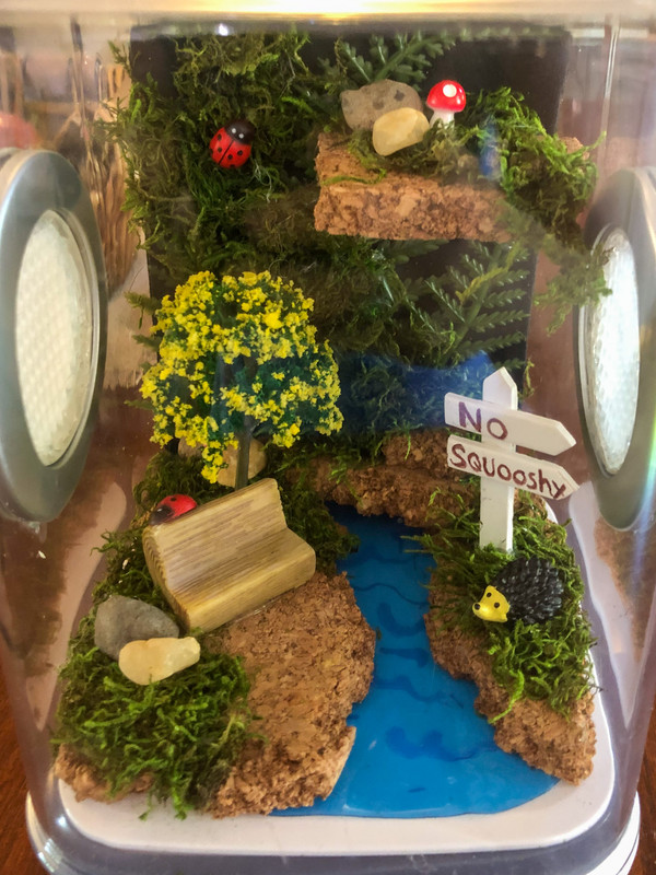 29B607A8-CF20-4F86-A186-0F0CCFFFA296