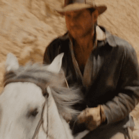 this-equine-day-av2.gif