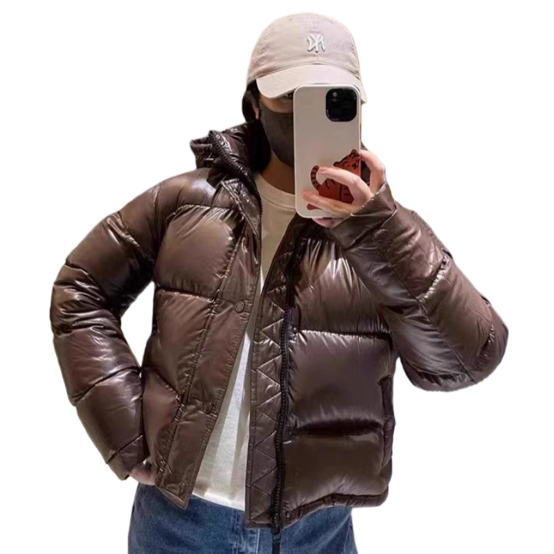 Aritzia Puffer Jacket